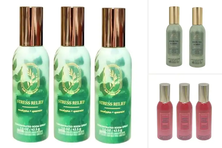 Detailed view of Best Bath and Body Works Room Sprays