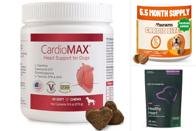 Detailed view of Best Canine Heart Supplements