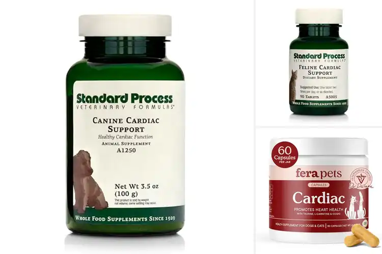 Detailed view of Best Cardiac Support Supplements: Picks for Heart Health