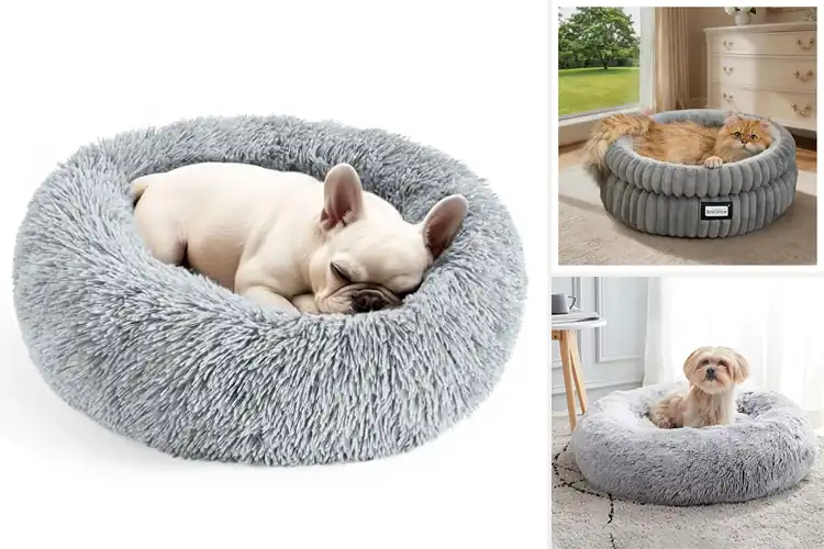 Detailed view of Best Cozy Cat Beds: Top 10 Picks for Happy Naps