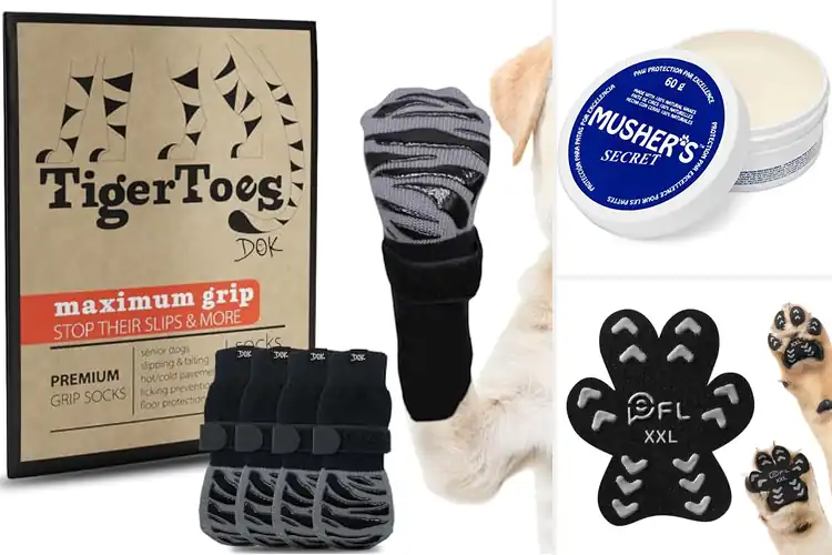Detailed view of Best Dog Paw Protectors: Top 10 Picks for Safe & Happy Paws