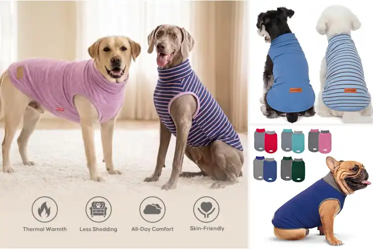 Detailed view of Best Dog Pullover Sweaters