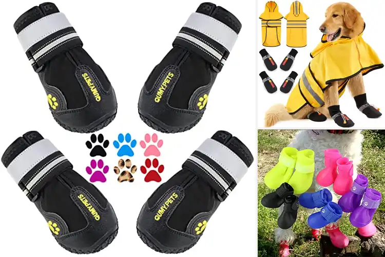 Detailed view of Best Dog Rain Boots