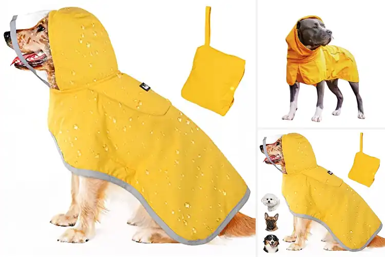 Detailed view of Best Dog Rain Gear: Top 10 Picks for a Dry, Happy Pup
