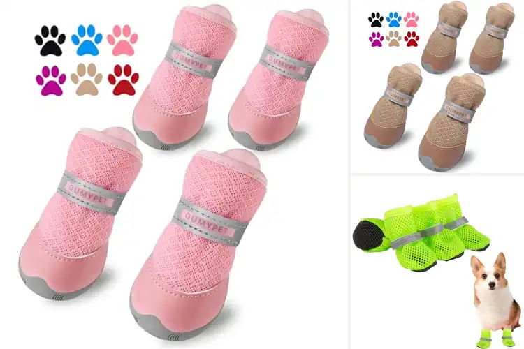 Detailed view of Best Dog Shoes For Small Breeds