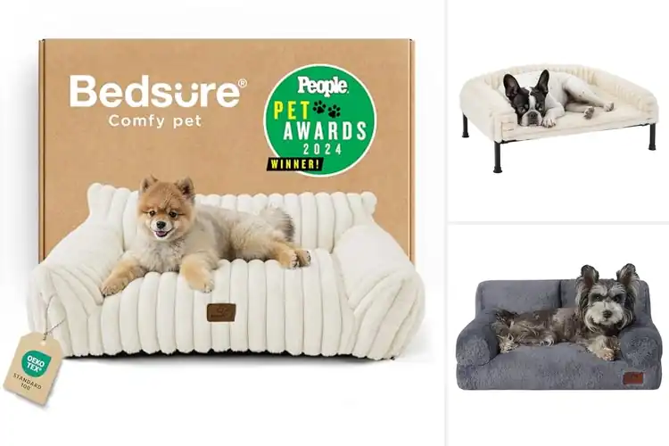 Detailed view of Best Dog Sofas For Small Dogs