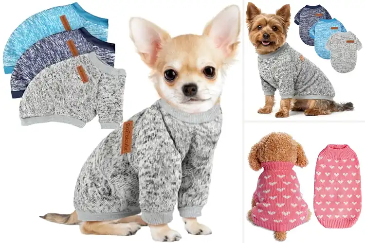 Detailed view of Best Dog Sweaters: Top 10 Cozy & Stylish Picks for Your Pet