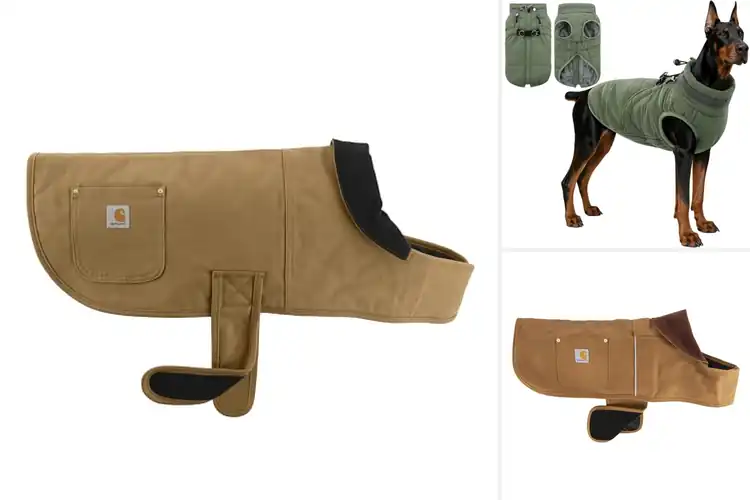 Detailed view of Best Dog Winter Jackets: Top 10 Cozy Picks for Your Pup