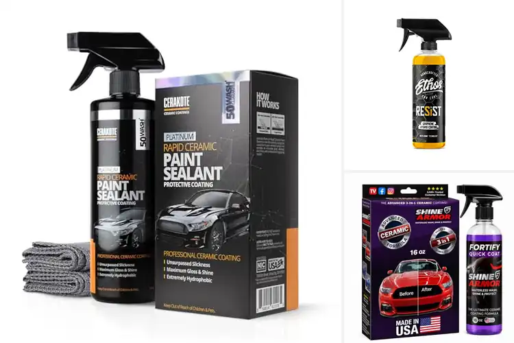 Detailed view of Best Hydrophobic Coating Sprays