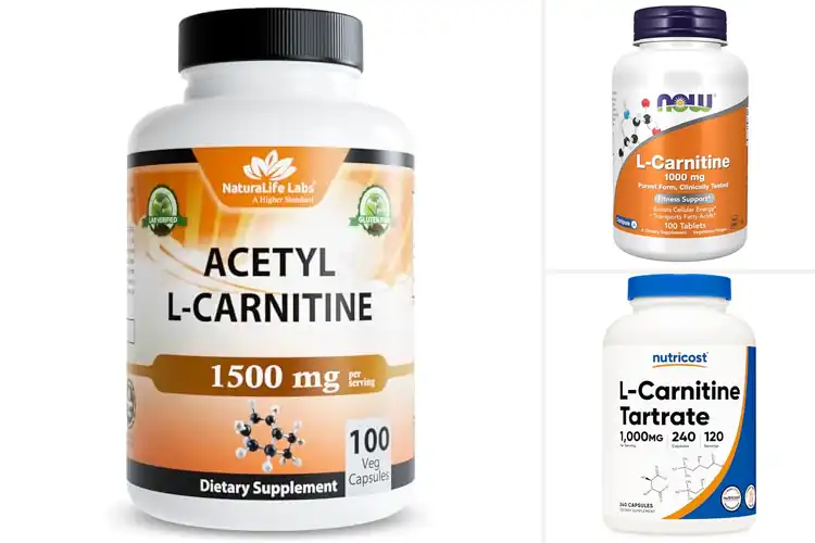 Detailed view of Best L-Carnitine Supplements