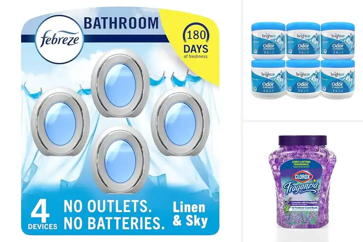 Detailed view of Best Long-Lasting Room Fresheners