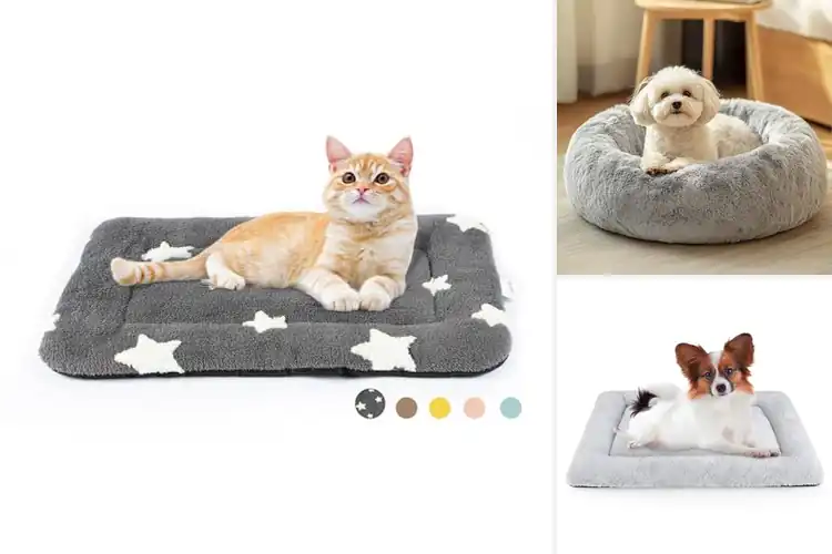 Detailed view of Best Non Slip Pet Beds for Safety & Comfort