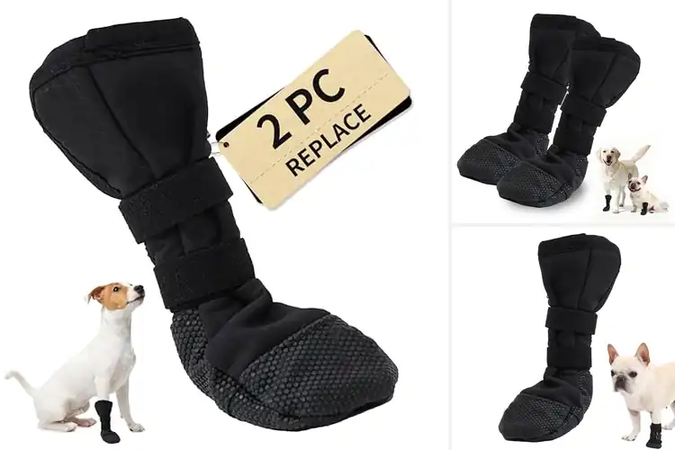 Detailed view of Best Protective Paw Boots: Top 10 Picks for Safe, Clean Paws
