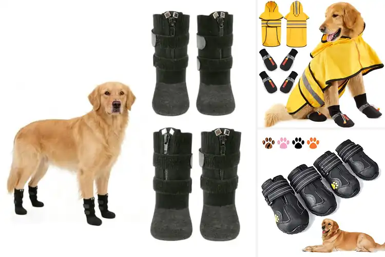 Detailed view of Best Rain Dog Boots: Top 10 Picks for Clean, Safe Paws
