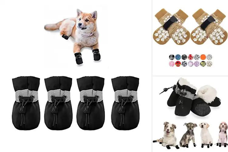 Detailed view of Best Small Dog Boots