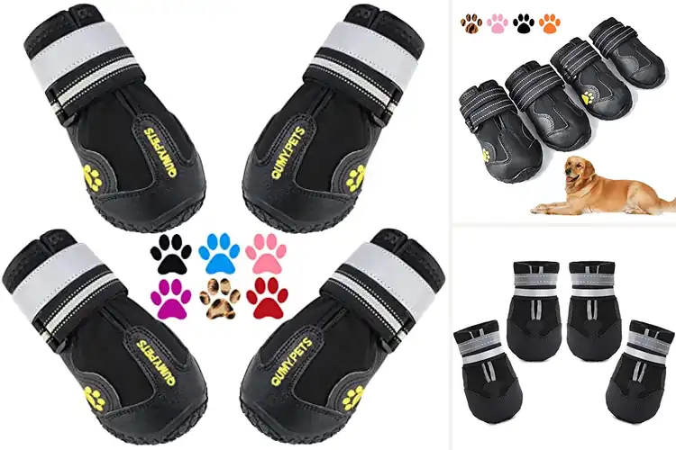 Detailed view of Best Snow Dog Shoes: Top 10 Picks for Winter Paw Protection