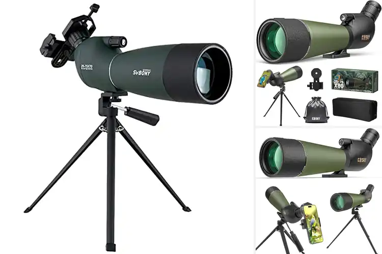 Detailed view of Best Spotting Scopes For Bird Watching