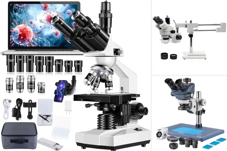 Detailed view of Best Trinocular Microscopes for Sharp Observation