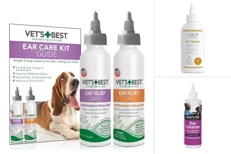 Detailed view of Best Vet-Endorsed Ear Cleaners