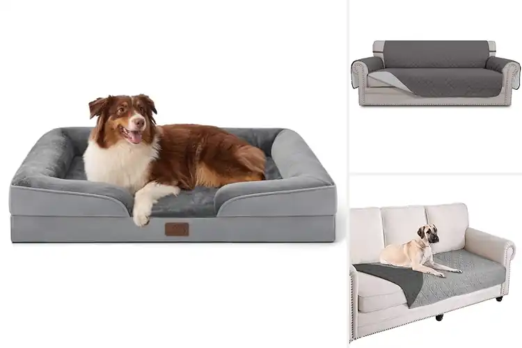 Detailed view of Best Washable Pet Couches: Easy Clean Comfort Picks