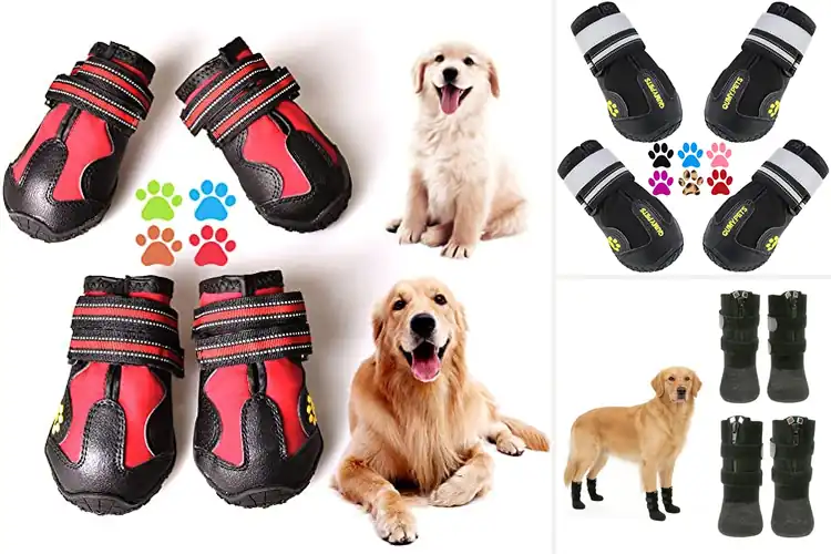 Detailed view of Best Waterproof Dog Boots