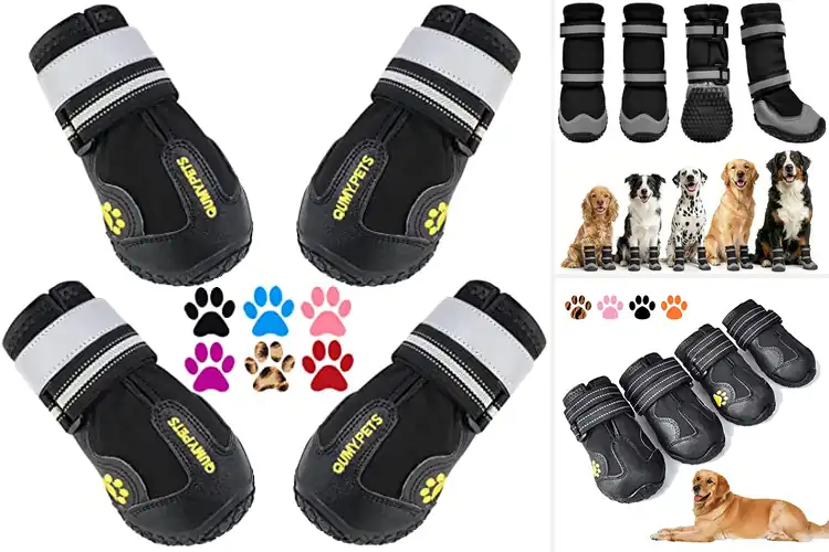 Detailed view of Best Winter Dog Boots: Top 10 Picks for Happy, Healthy Paws